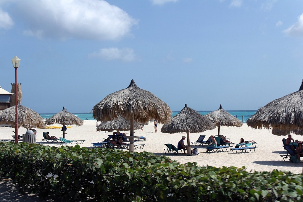 cruise14 (293).jpg